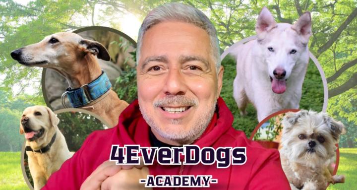 4EverDogs Academy 🐾