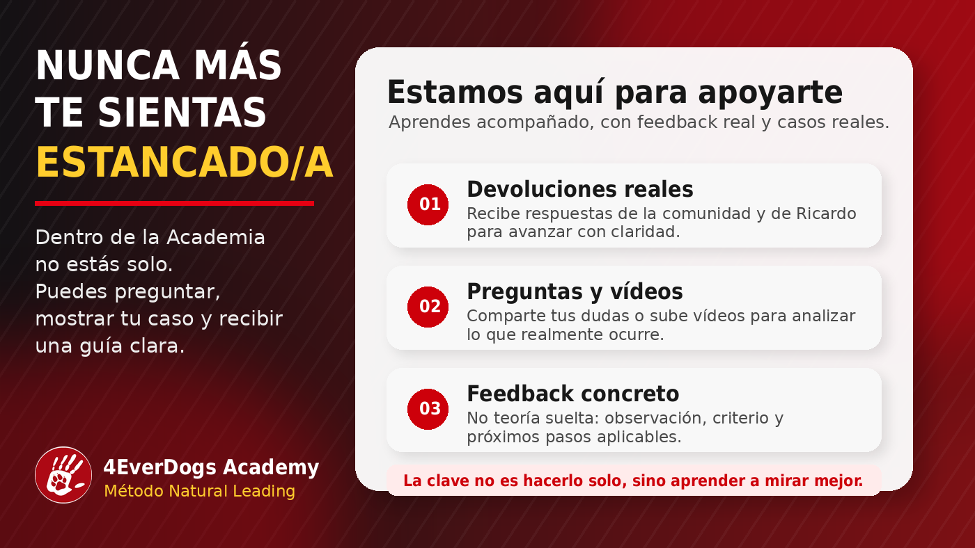 4EverDogs Academy 🐾