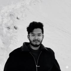 Sashank Sakkurthi