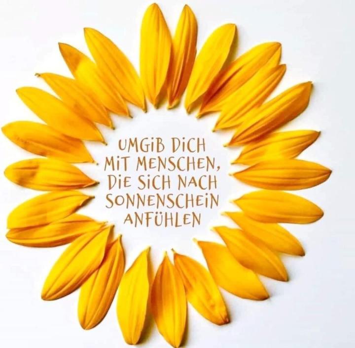 Monika Holzer