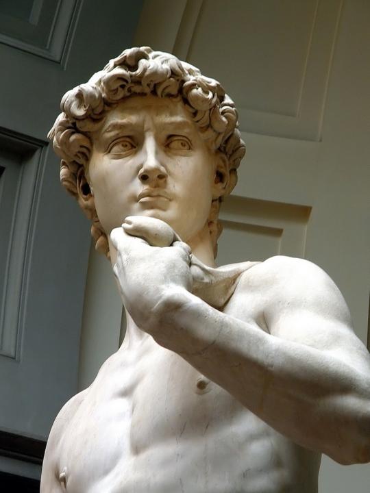 El David de Miguel Angel