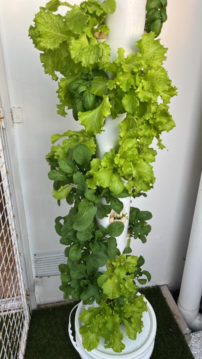 Huerta de Gisela
