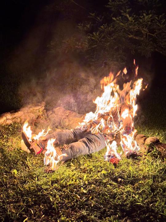 Luis Fernando Young Gomez