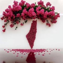 ساره العنزي