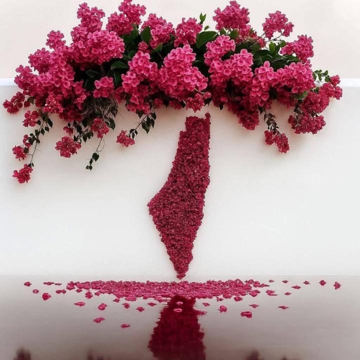 ساره العنزي