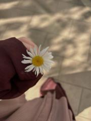 Boushra Barish