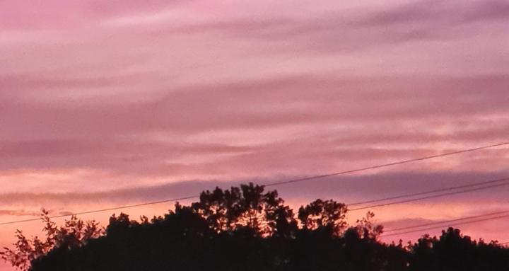 Living w/Depression or Mania