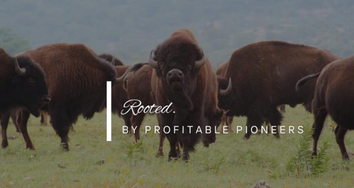 Rooted by Profitable Pioneers