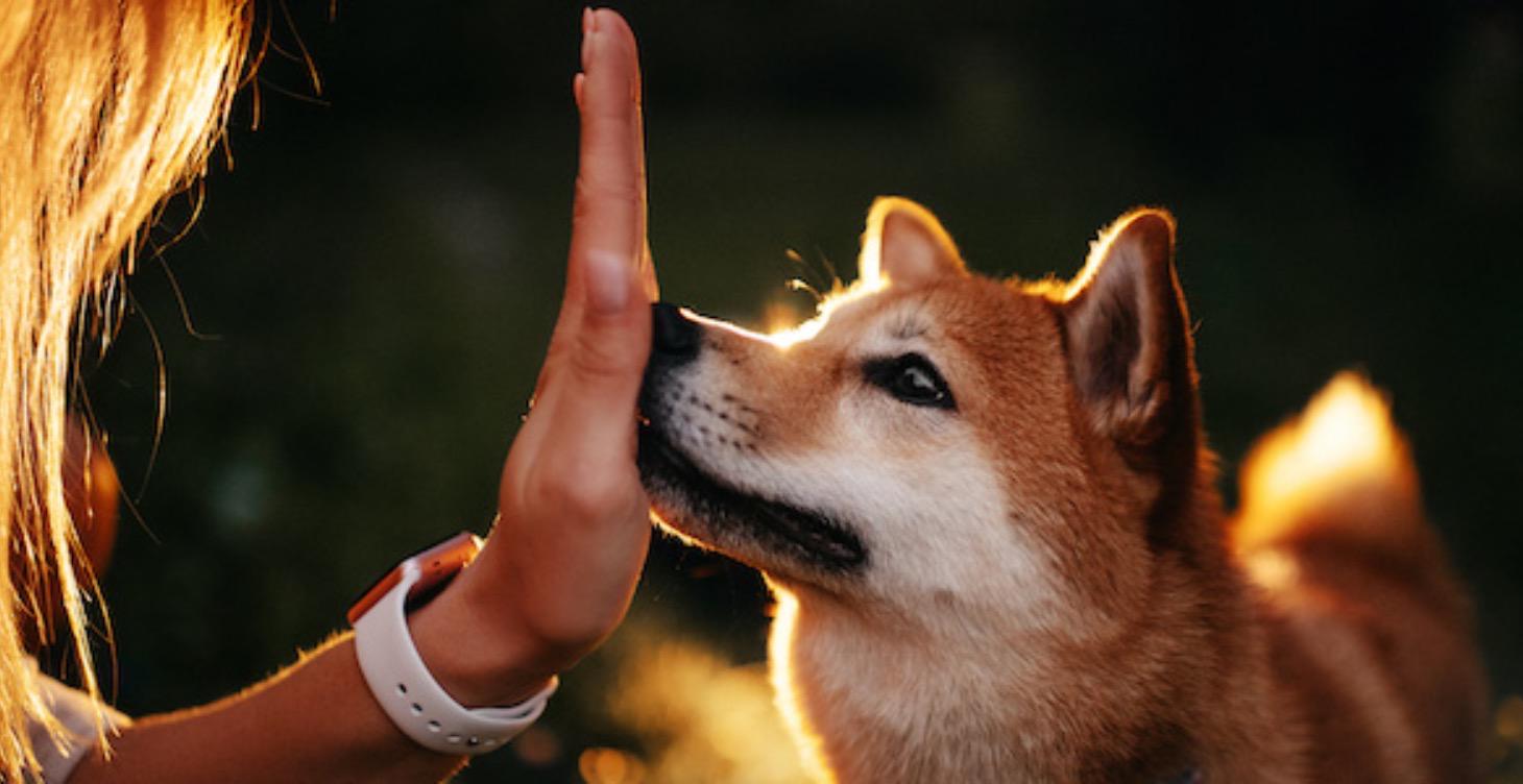 Hand Touch
