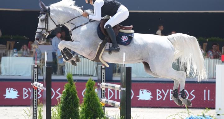 OMB showjumping community
