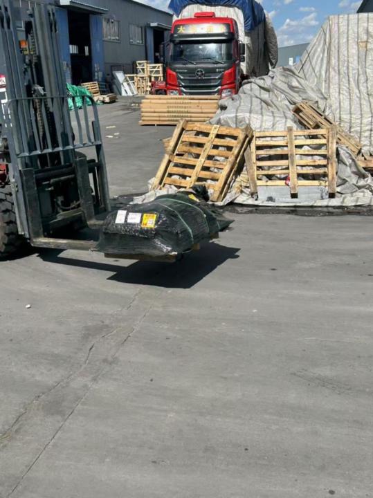 Nyamtseren Munkhbold