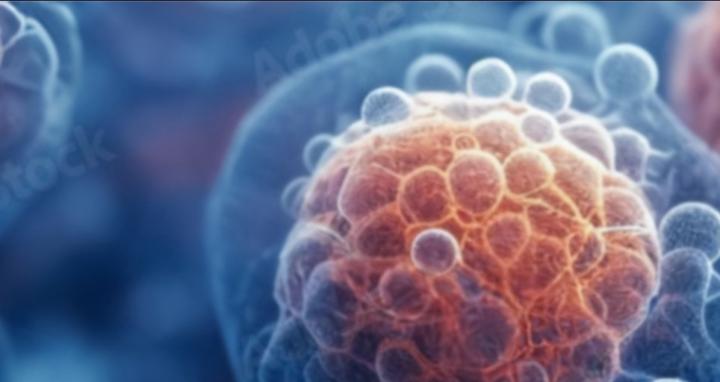 EXACT Exosome Edu: Resilielle