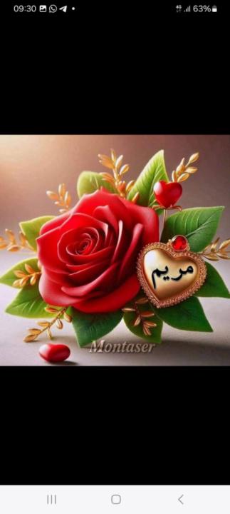 Meryem Meryouma