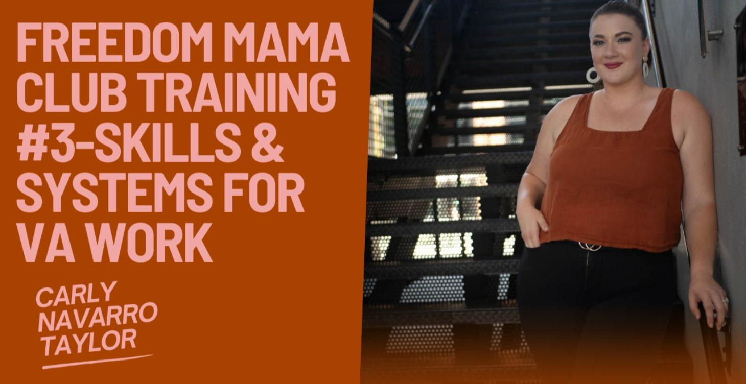 Training #3: Skills & Systems for VA Work