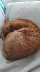 Olalla Carballude Garcia