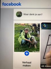 Elma Willemstijn