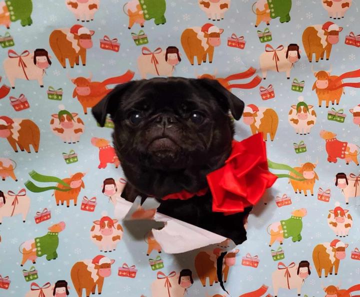 Autumn McCluer-Yeagley