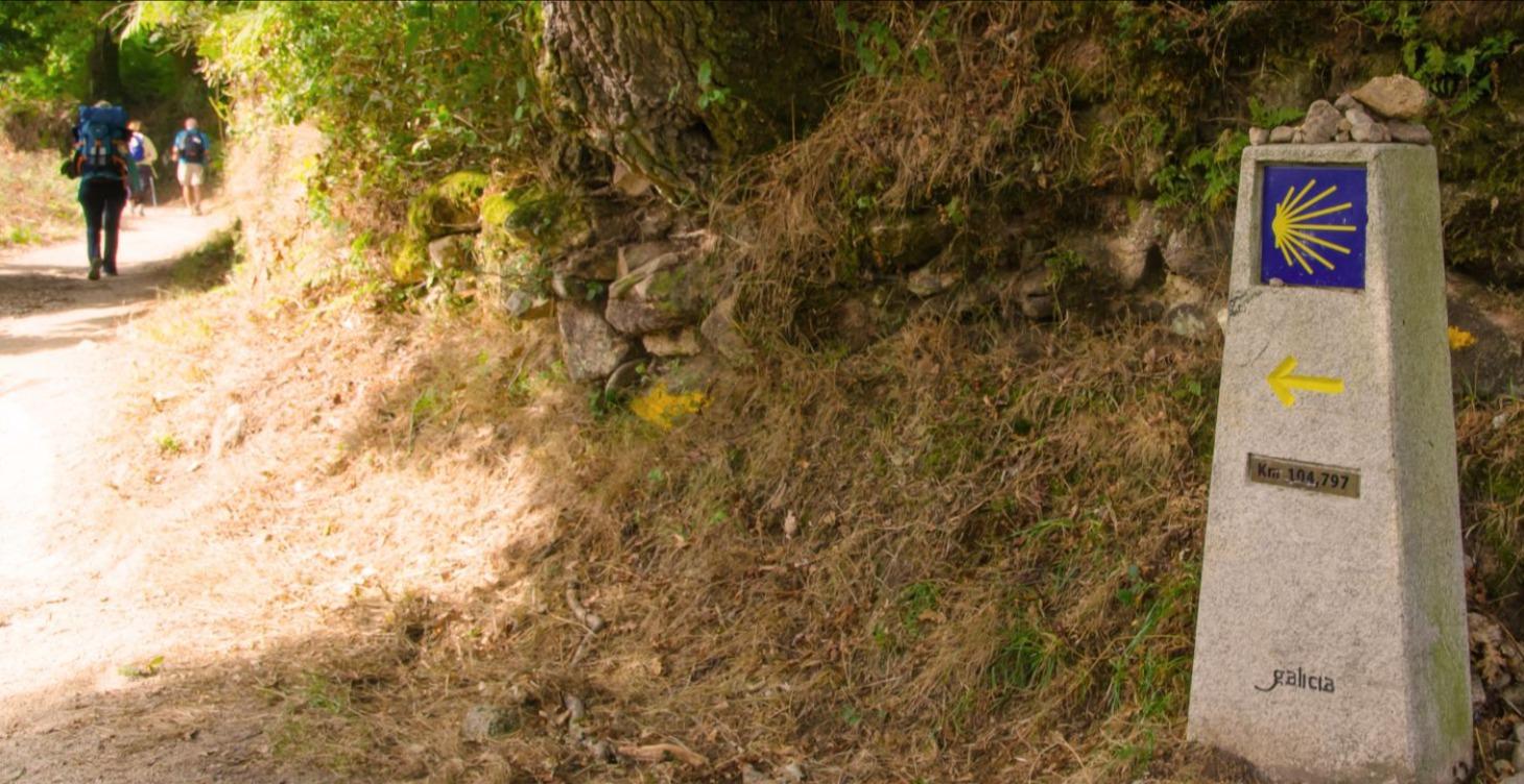 01 · Camino 101: The Big Picture