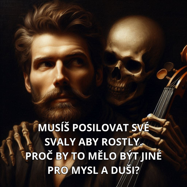 Tvoje dávka reality check meme pro chlapy, co nechtějí zábavu ale nutnou pravdu ⚔️