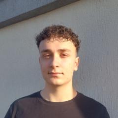 Dragos Marian Soldea