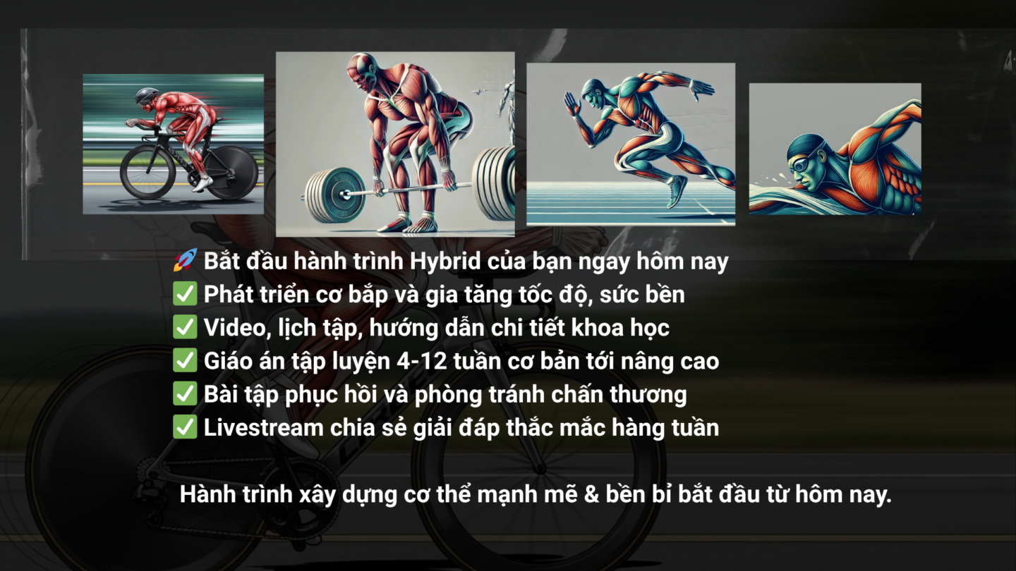 Hybrid Training VN