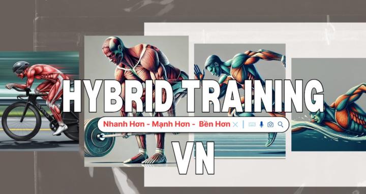 Hybrid Training VN
