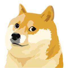 Pierre Doge