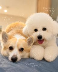 蔡 侑霖