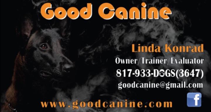 Good Canine Dog Training
