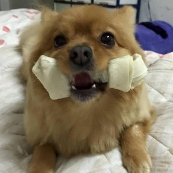 程 久芝
