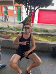 Roman Wiese