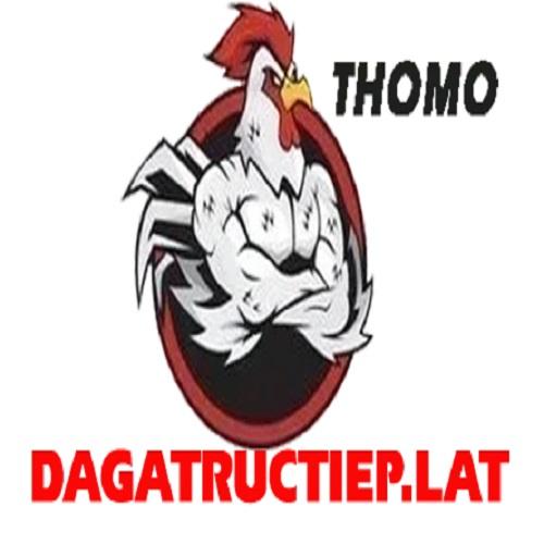 Đá Gà Trực Tiếp