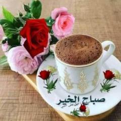 حارث القرغولي