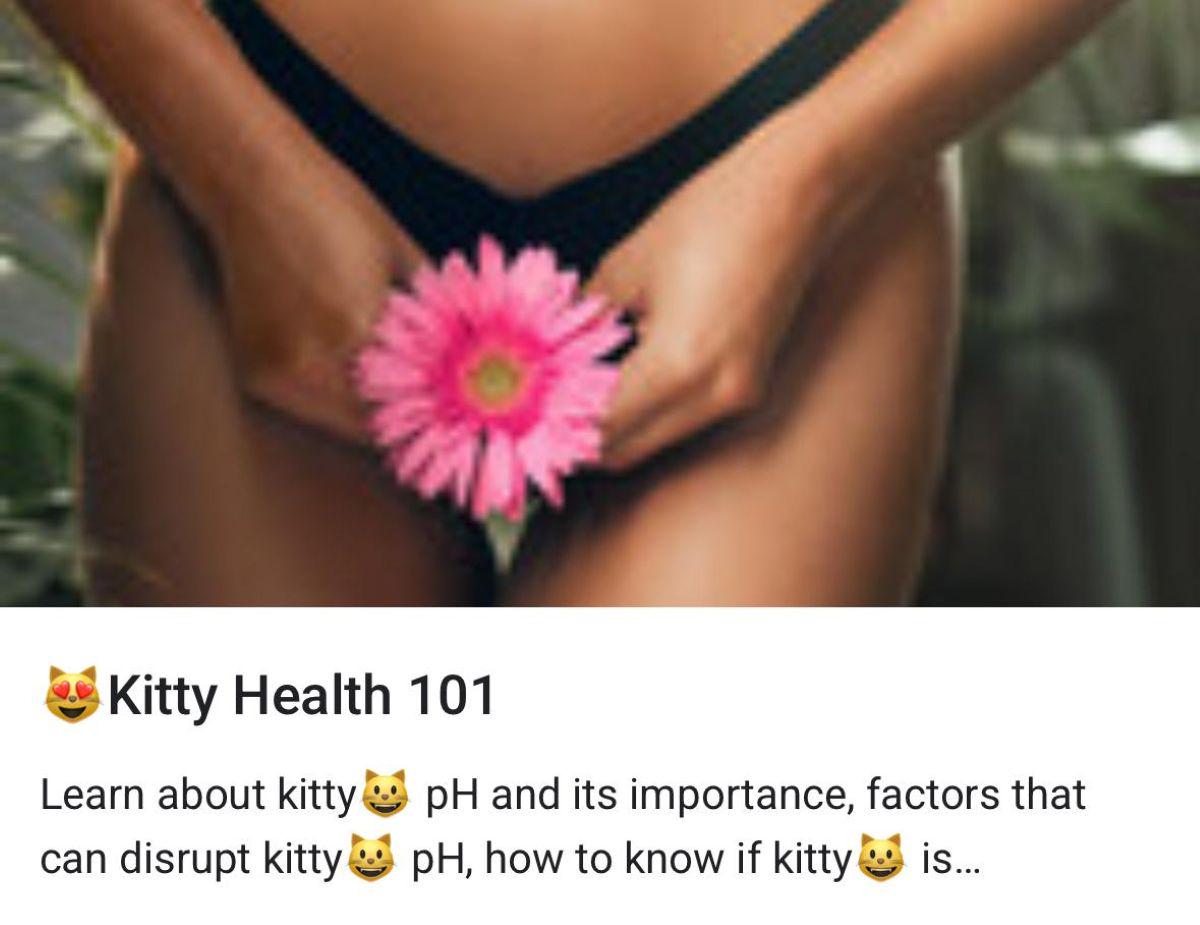 Juicy Kitty Kare Queen Program