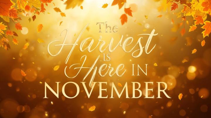 ⭐Welcome to November It's Harvest Time🎶🙌🎉  