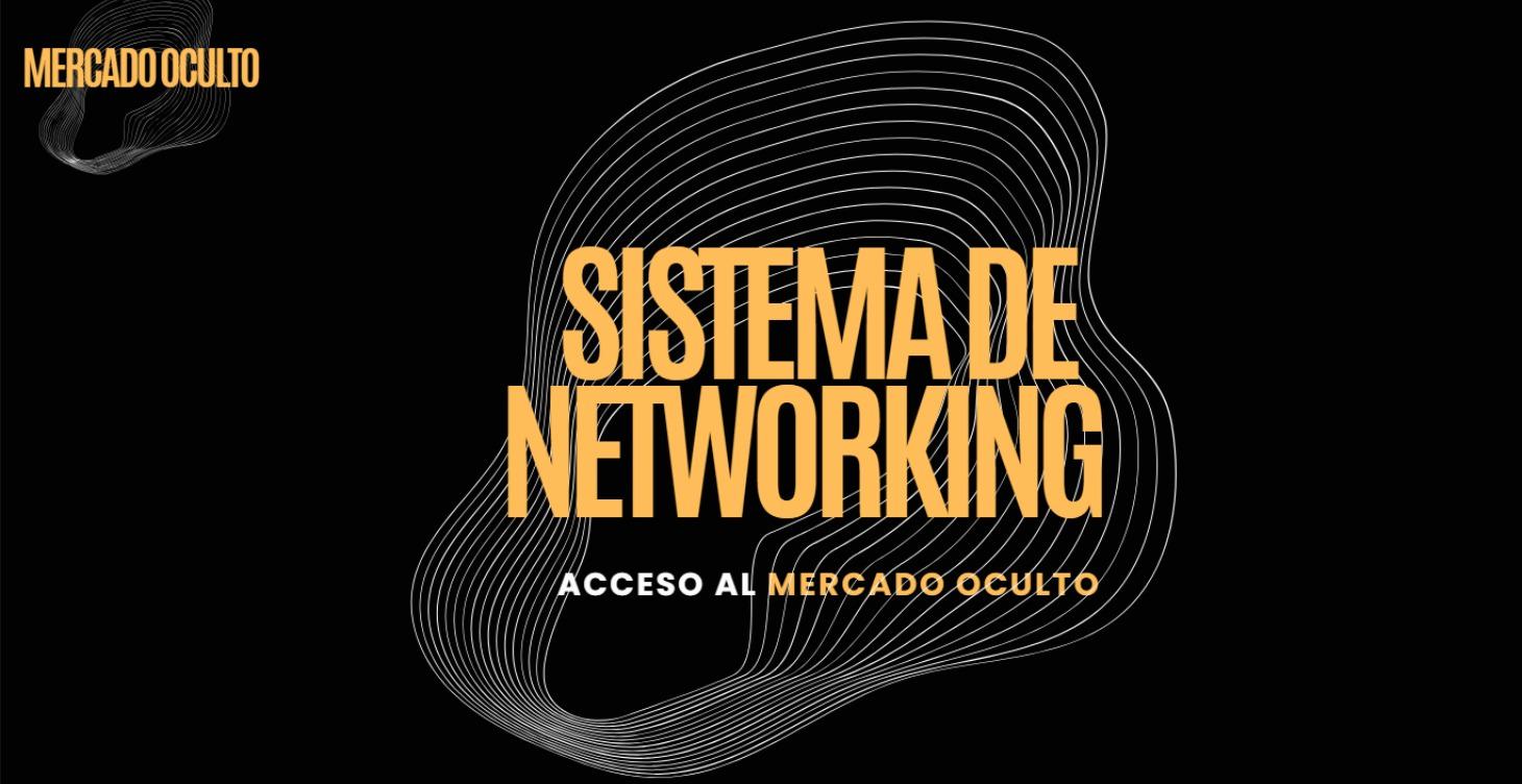 🟠N5 | Sistema de Networking