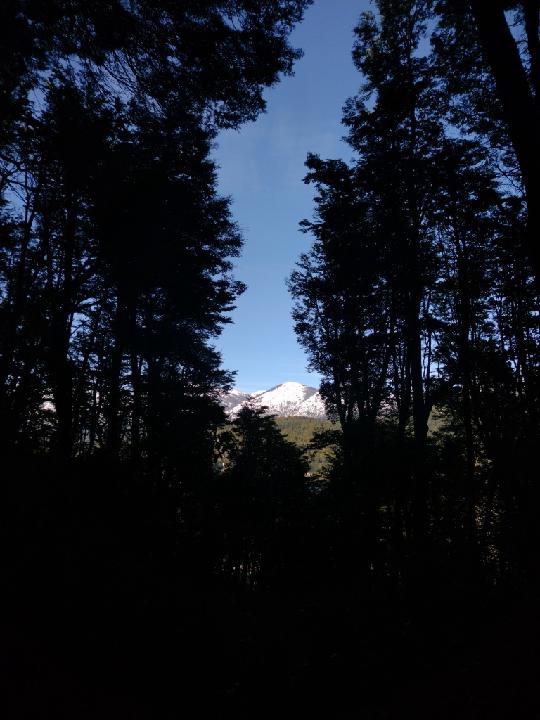 Bernardo Perez Manetti