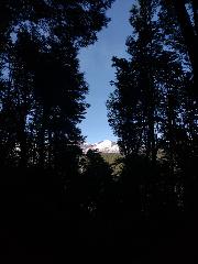 Bernardo Perez Manetti