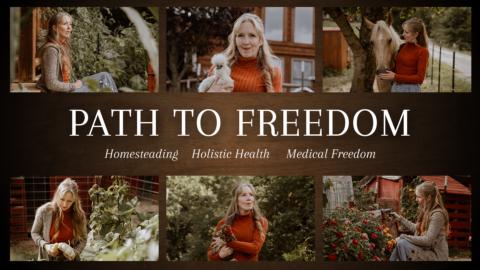Path To Freedom gallery image