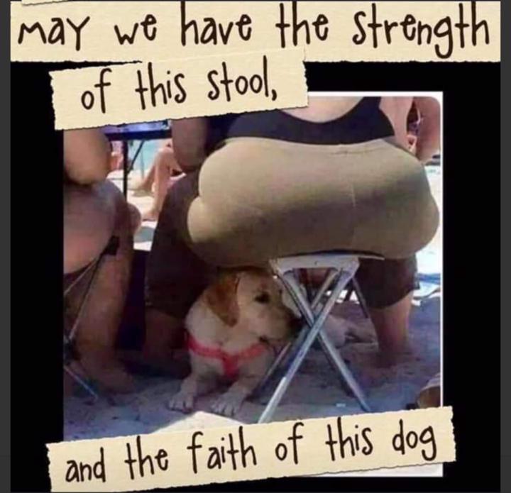 The 3 Legged Stool