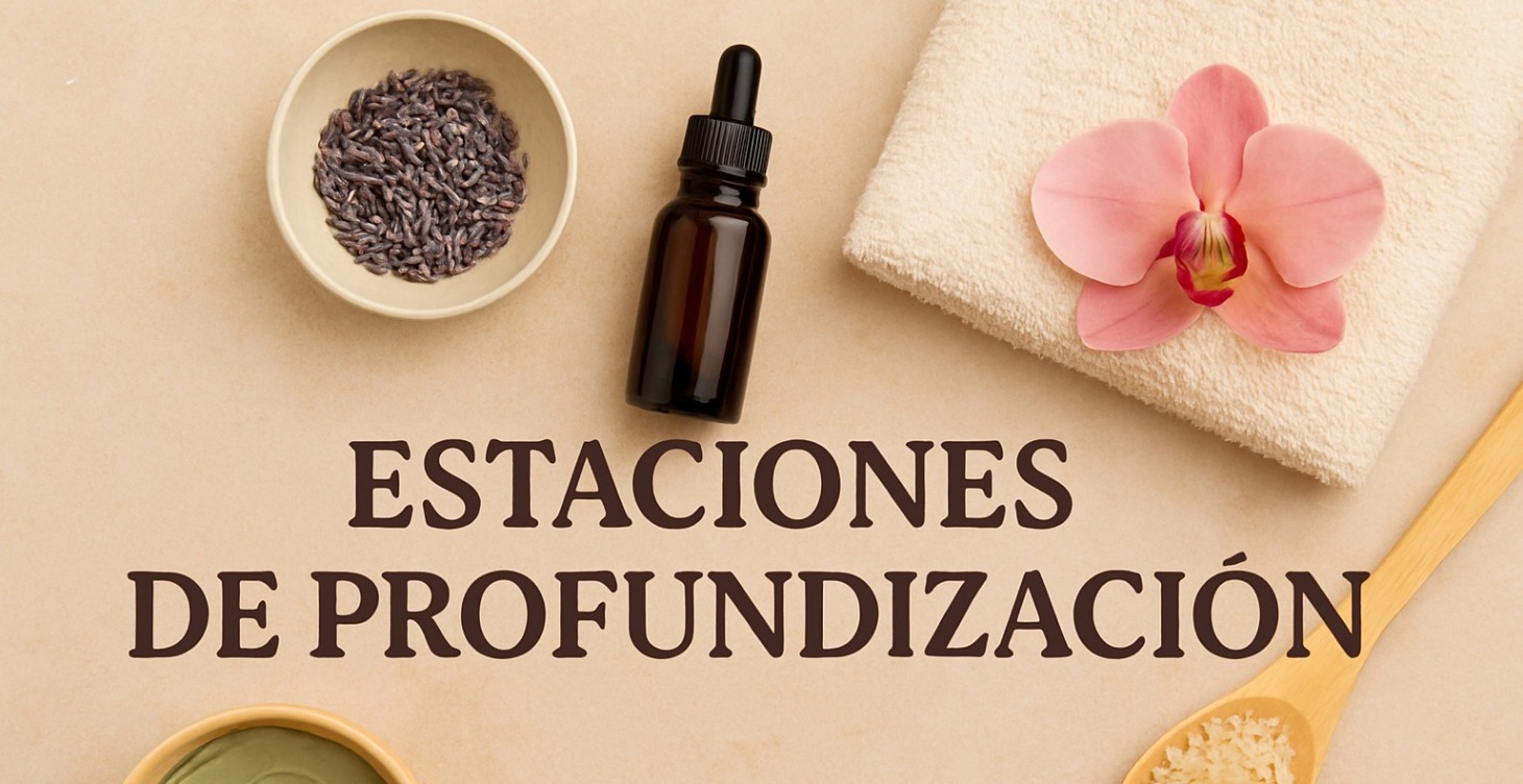 ESTACIONES DE PROFUNDIZACION-TALLERES