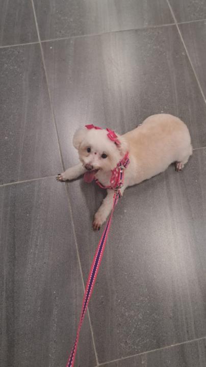 José Manuel Lozano Ramos