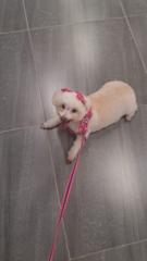 José Manuel Lozano Ramos