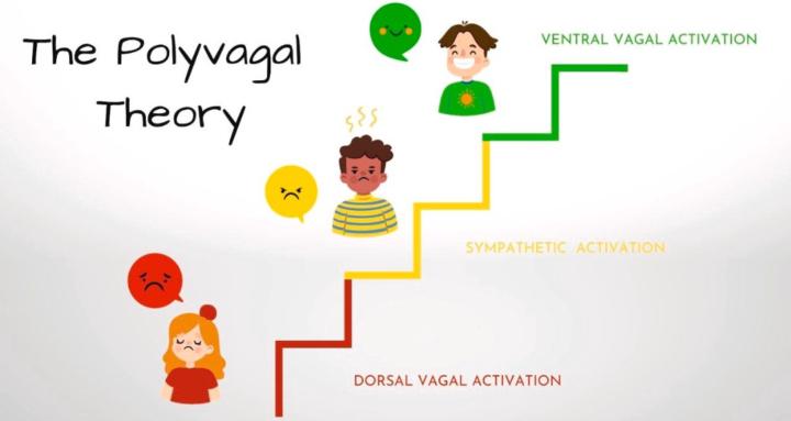 Polyvagal Family Haven