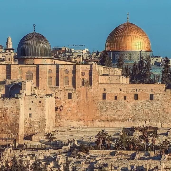 عصام ناصر