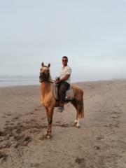 Abdellah Dalil