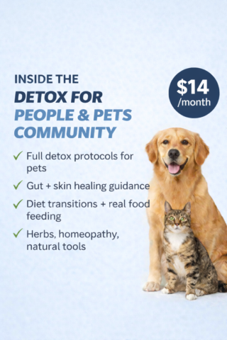 Detox For People & Pets gallery image