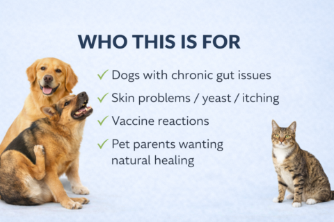 Detox For People & Pets gallery image