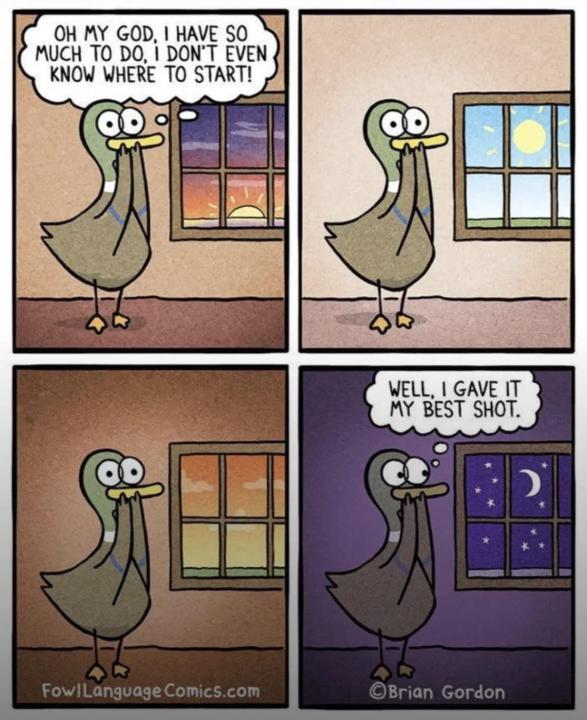 The Overwhelm Is Real... And it's ok :) x