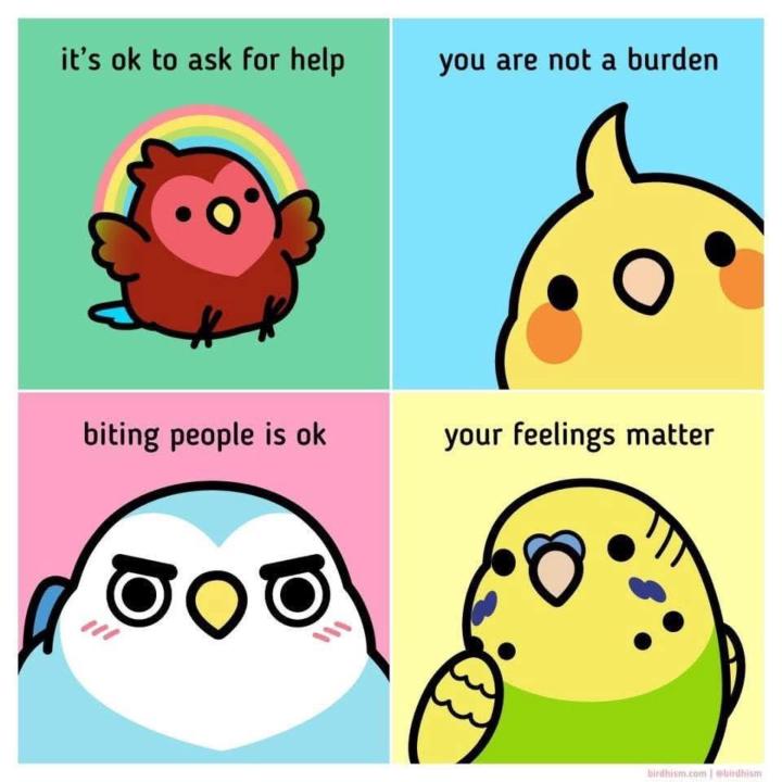 Happy Monday + Co-Doing Session